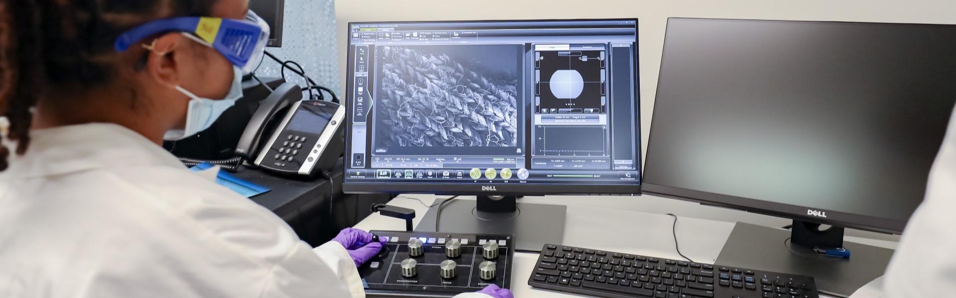 person in lab viewing microscopic image on computer screen