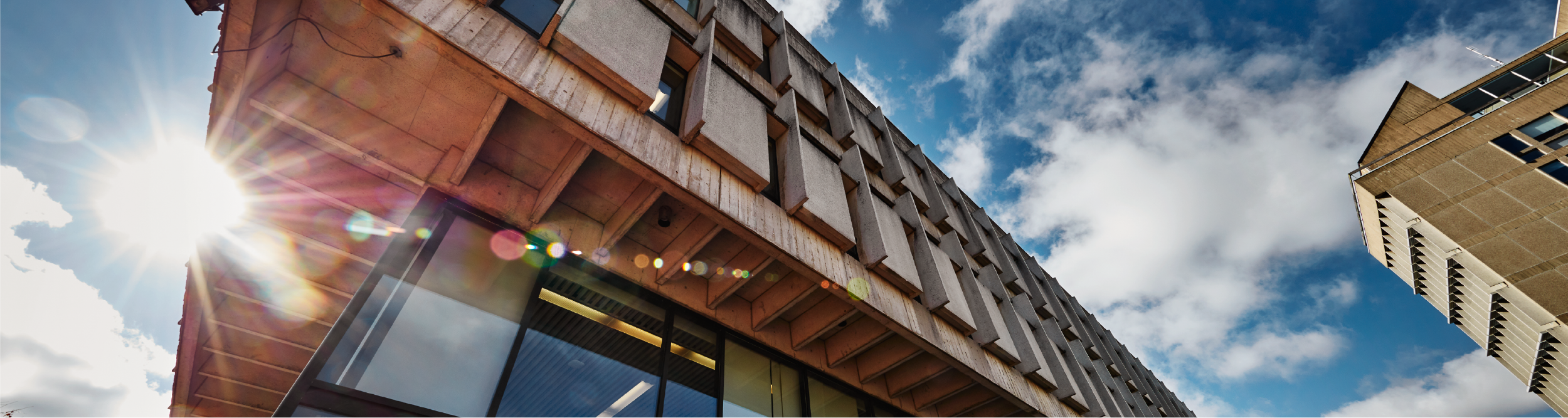 The McLaughlin Library at the University of Guelph during day time