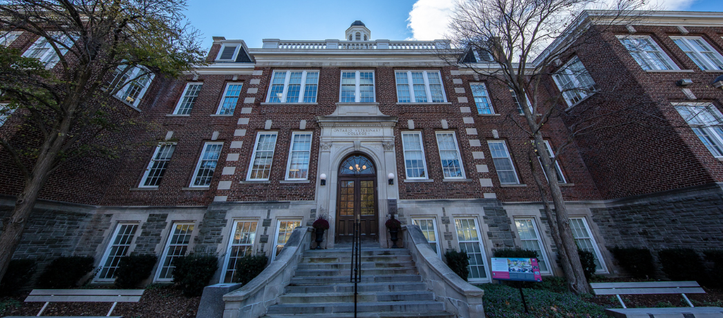 The front steps and entrance of a large red brick building