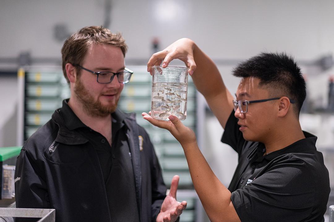 Dr. David Huyben and Junyu Zhang examining a clear container holding baby fish. Junyu is holding the container aloft while the David gestures towards it in discussion.