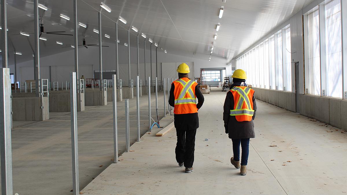 Two people in safety vests and helmets walking through the newly built Ontario Beef Research Centre which has metal framing and long windows on the side.