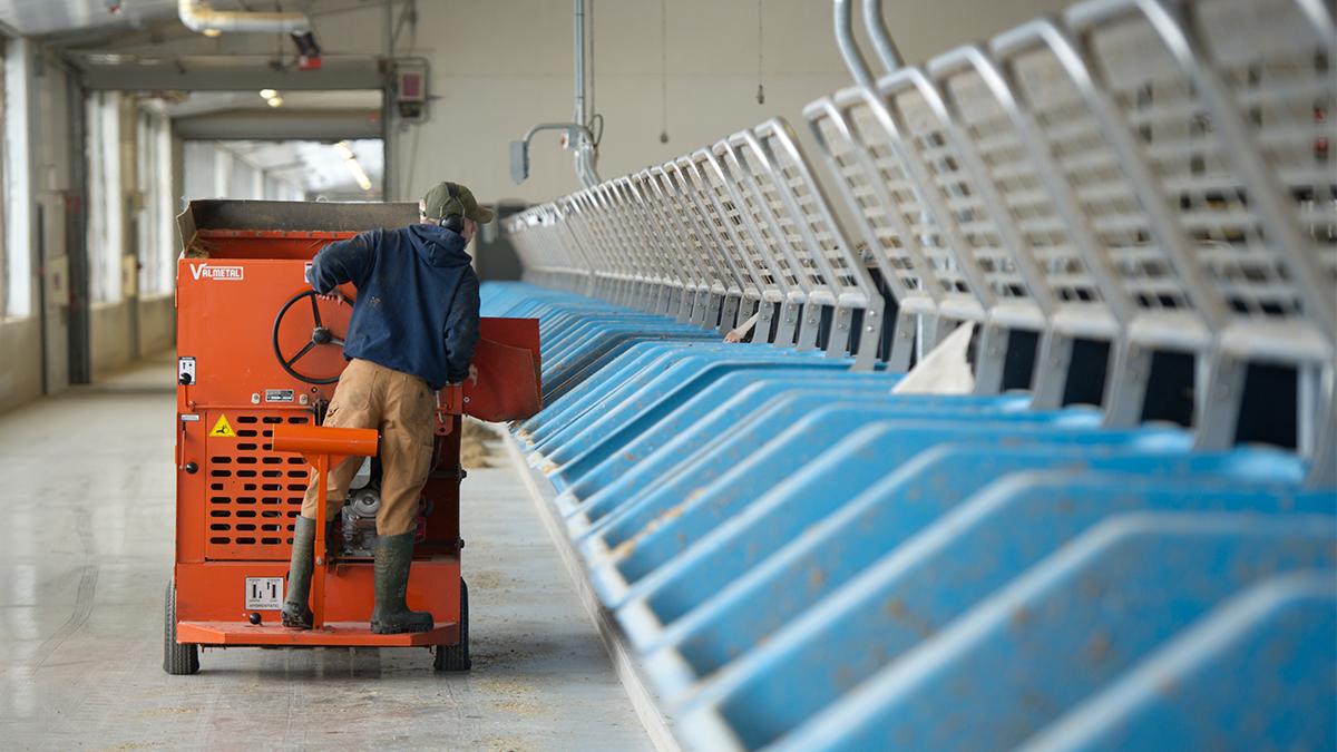 A worker operates a machine near a row of feeding bins inside a barn.