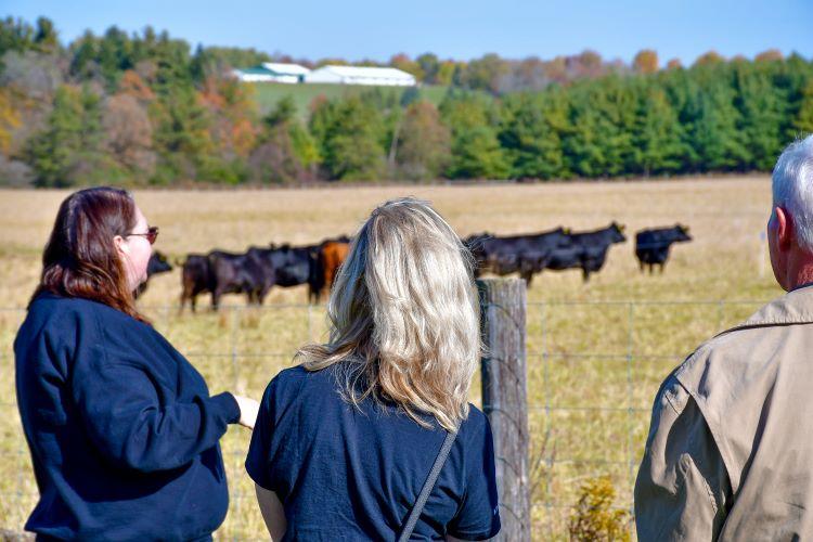 Dr. Katie Wood speaks to two tour participants in front of the pasture at the Ontario Beef Research Centre in Elora