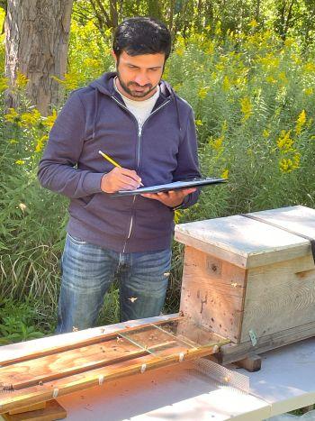 Dressed in jeans, Sarmad stands over a wooden bee box taking notes on a clipboard