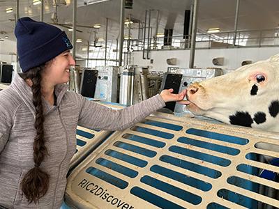 A female in a barn holding her hand out to a cow to lick while smiling.