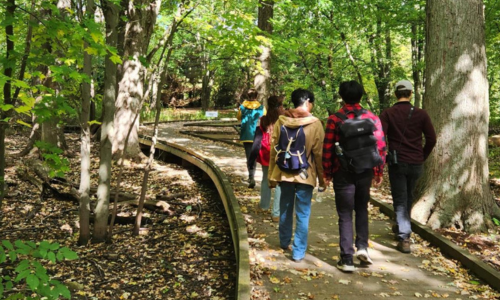 Students walking in the Arboretum