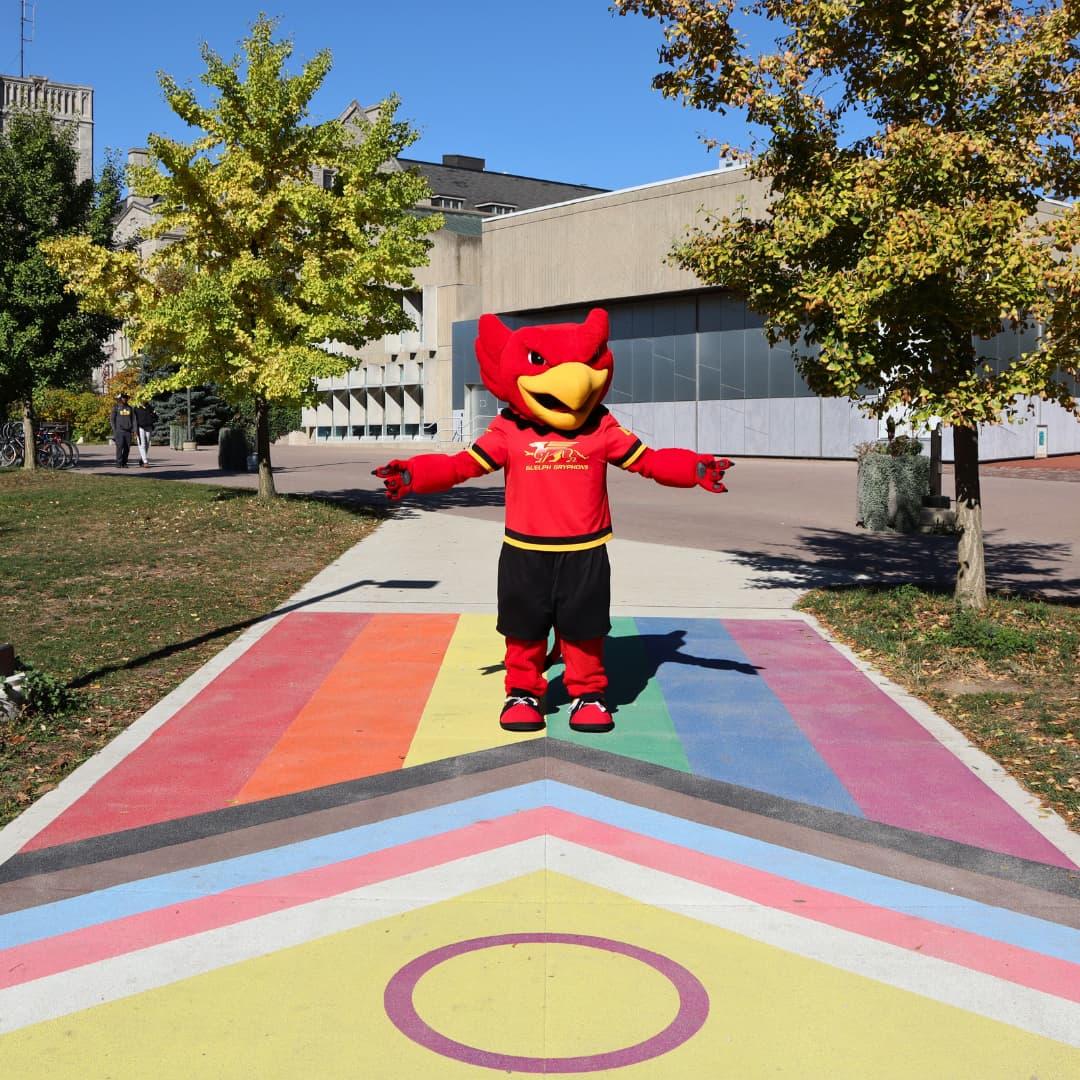 gryph standing in front of pride flag on ground