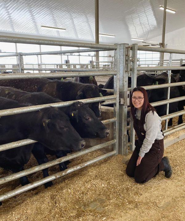 Wen Jin, wearing glasses and coveralls, crouches, smiling, in front of some beef cowsn her hands