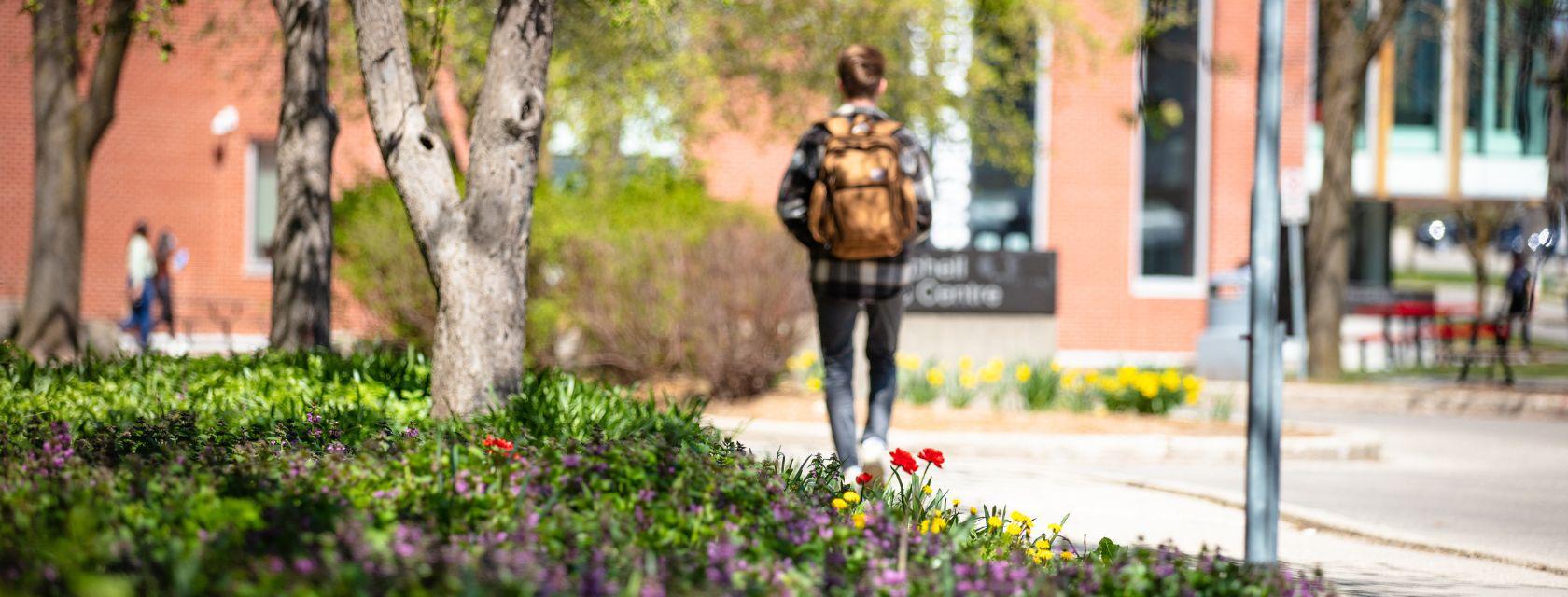 A student walks away on Reynold's walk. Spring flowers are in bloom.