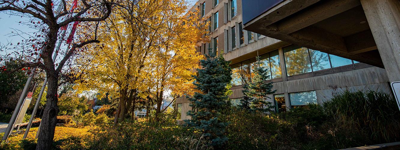 University Centre in autumn
