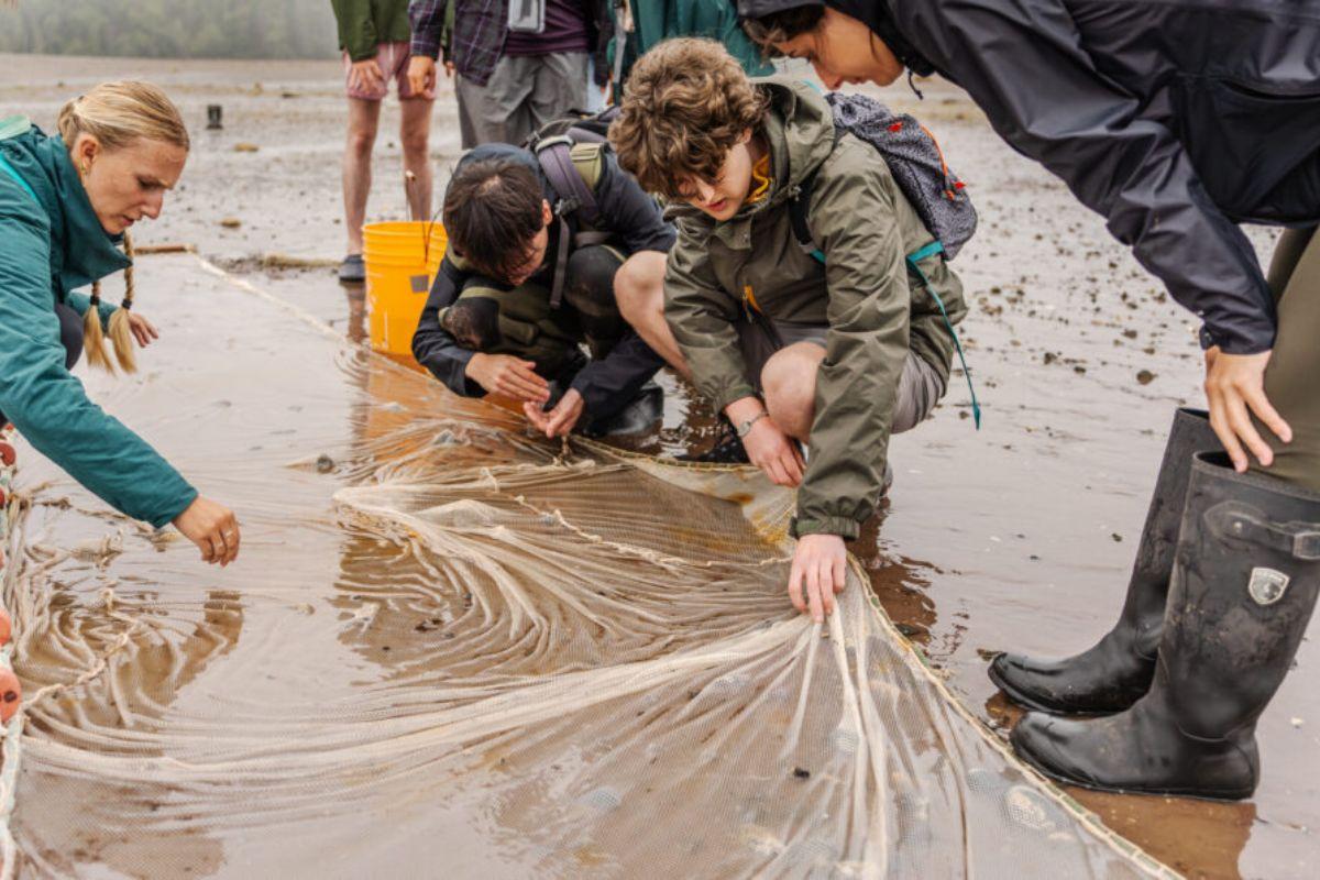 Marine biology students taking samples.