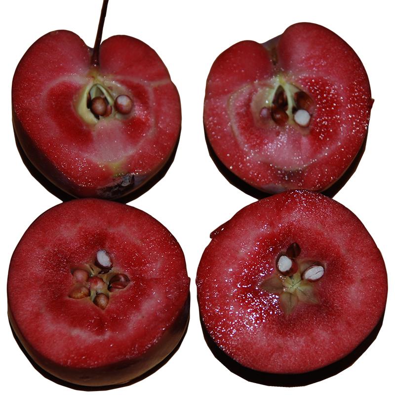 Providence apples cut in half