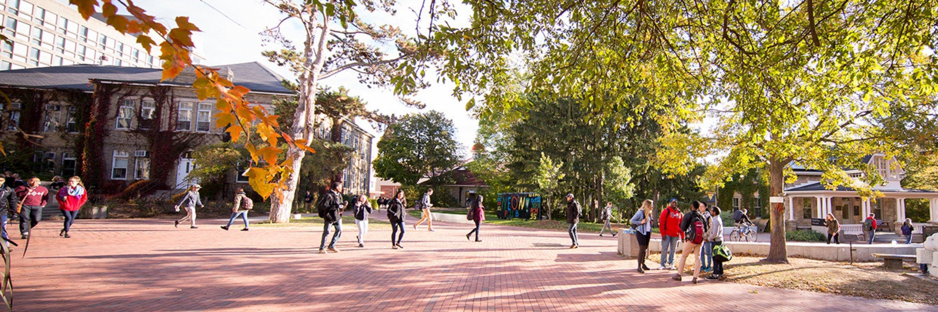 Panoramic shot of students walking on Winegard Walk on the University of Guelph campus