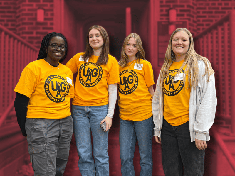 Residence ambassadors