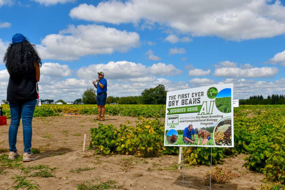 Dr. Yoosefzadeh Najafabadi speaks to a crows from a field of soybeans on a summer day. A sign in the foreground reads "The first even dry beans designed using AI"